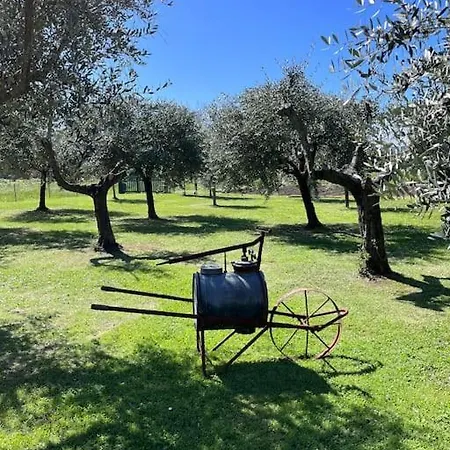 Appartamento La Casa Di Margot