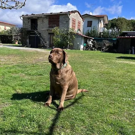 Appartamento La Casa Di Margot